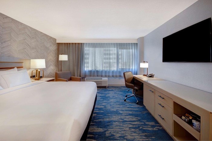 Pet-Friendly Hotels in Los Angeles - Places to Stay for Travelers with Pets
