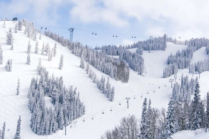 Ski Resort Hotel In Aspen Colorado With Lift Access