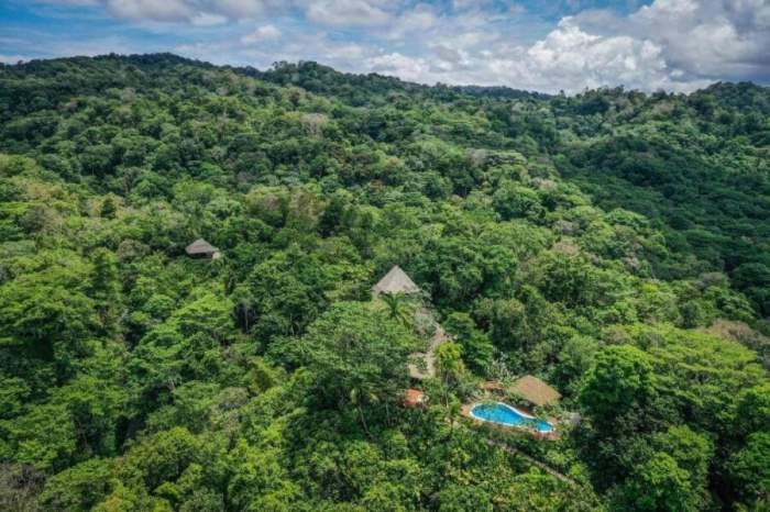 Top 20 Eco-Resorts in Costa Rica for Sustainable Stays