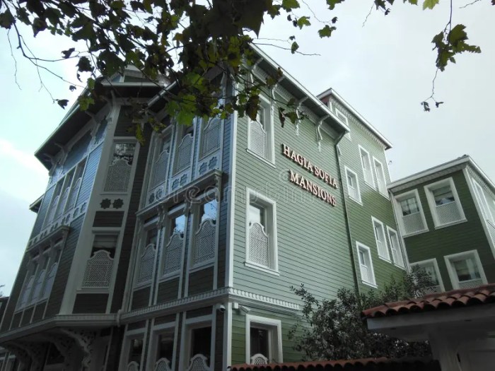 Luxury Hotel In Istanbul Near Hagia Sophia
