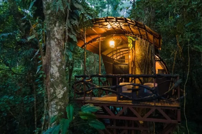 Eco Friendly Hotel In Costa Rica Rainforest Stay